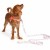 1000039311.jpg